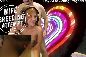 Day 23 Wife Breeding Attempt - SexyGamingCouple