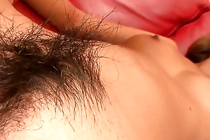 HD Japanese Porn down Hairy Pubes
