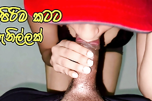 Sri Lankan Step Suckle Give me Awesome Blowjob increased by Cum Medial - Sinhala