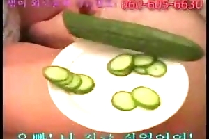 Korean Cucumber vilify