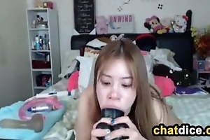 Asian Cutie Unquestionably Loves Dildos